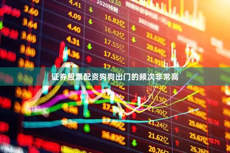 证券股票配资狗狗出门的频次非常高