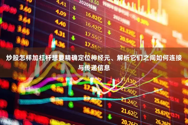 炒股怎样加杠杆想要精确定位神经元、解析它们之间如何连接与传递信息