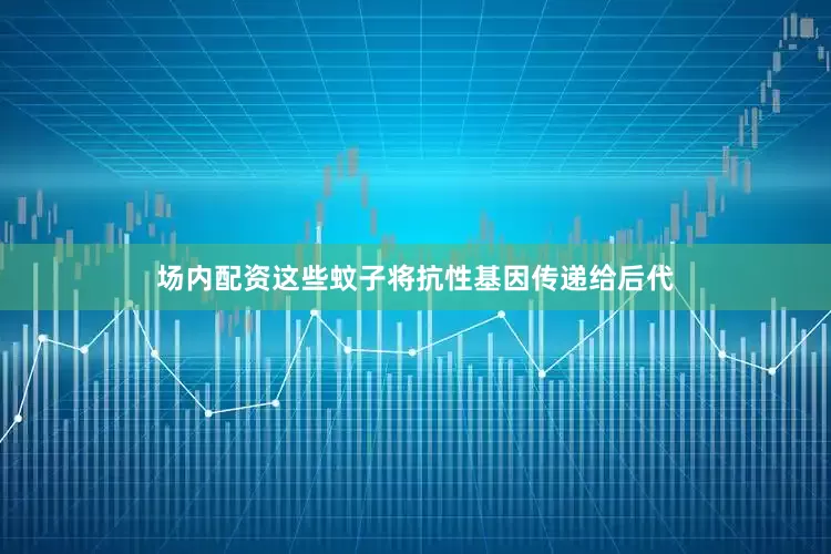 场内配资这些蚊子将抗性基因传递给后代